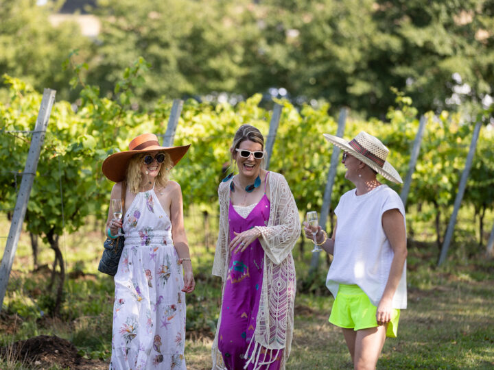 Vineyard Tour and Tasting