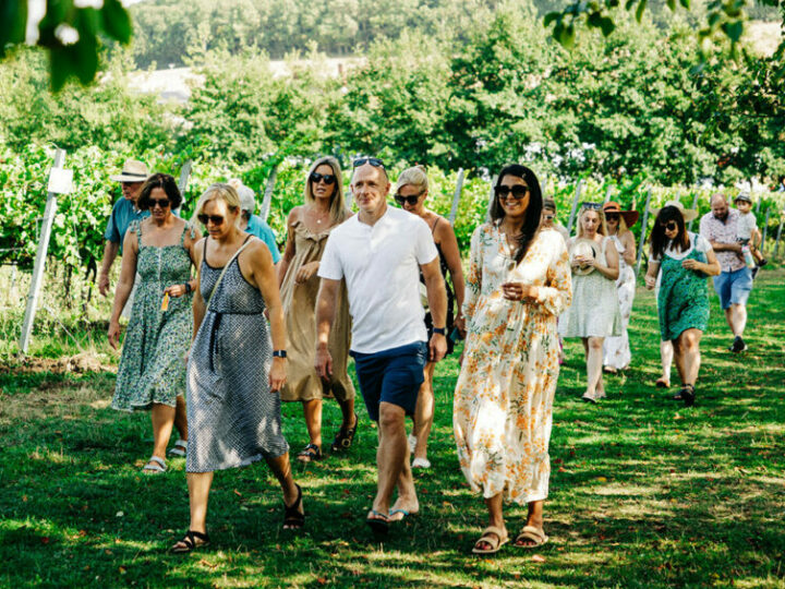 Vineyard Tour and Tasting