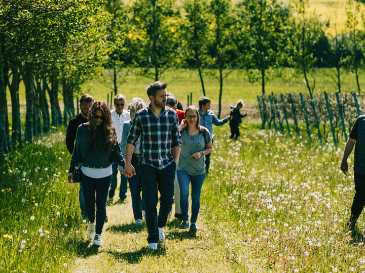 Vineyard Tour in Action