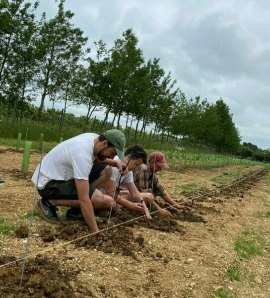 Planting for the Future