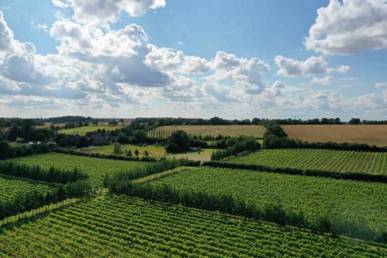 Image shows aerial view of the main four quadrants of the vineyard. There is a lot of greenery with blue sky and some white clouds overhead and rolling hills and a farmhouse in the distance