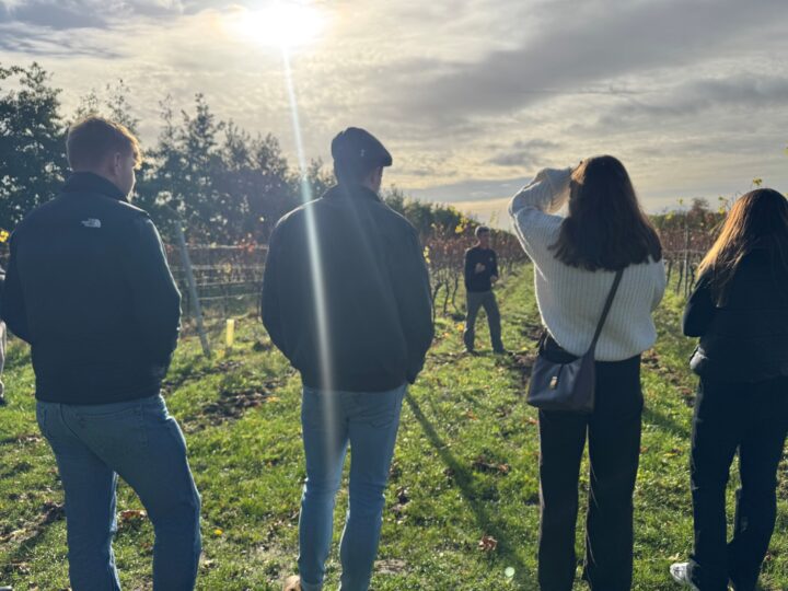 Vineyard Tour and Tasting